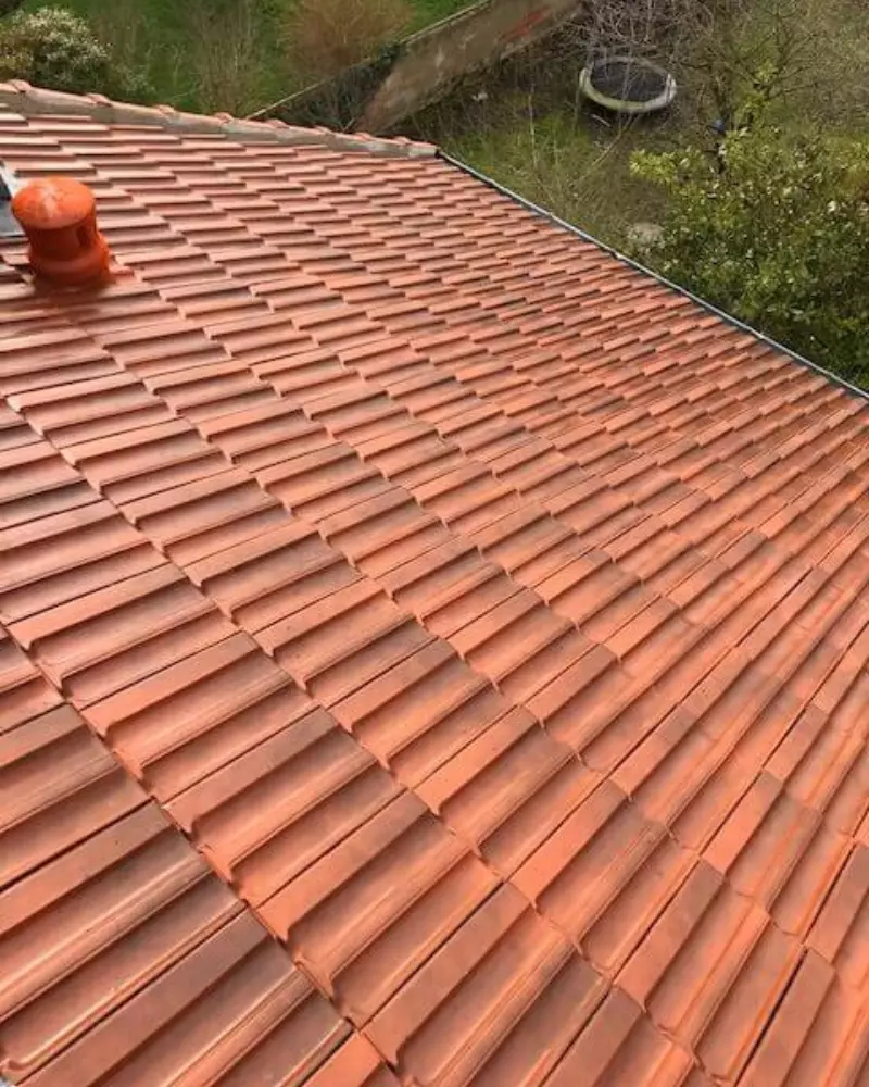 nettoyage toiture 78